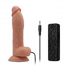  -   REALSTUFF 6.5INCH VIBRATOR - 17 . 
 -   REALSTUFF 6.5INCH VIBRATOR. 10  .