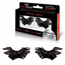    BRD EXOTIC DREAM EF-EL02 
              .