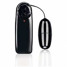 ����������� ���������� BLACK EGGZZZ EF-T023 
������ ����������� ���������� �� �������� ������ ����������.