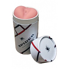  Spider Backside  
  Spider Backside    - ,       .