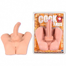 <strong>Эрегированный член и анус из UR3 0276-00 CD DJ</strong> <br />
Суперреалистичный фаллос и анус из самого "настоящего" материала UR3.<div class="charTableblock"> </div> Эрегированный член и анус из UR3 0276-00 CD DJ
Суперреалистичный фаллос и анус из самого "настоящего" материала UR3.