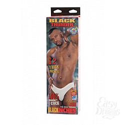  ��������� Black Thunder