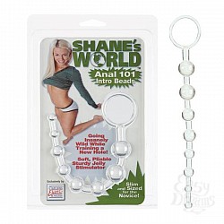    Sw Anal 101 Intro Bds Clr 1314-00CDSE