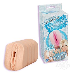  ����������� ASHTON MOORE 5803-06 BX DJ