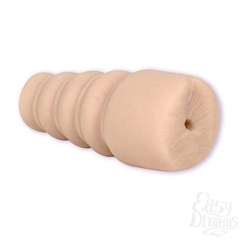  1:   PALM PAL WHITE UR3 ASS