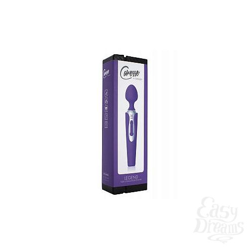 ���������� 2  ��������� ��������������� LEGEND MASSAGER - 20 ��.