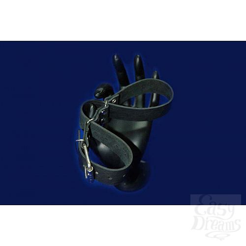 ���������� 2  ׸���� �������� �������� ��� ���  ������ � ������� 