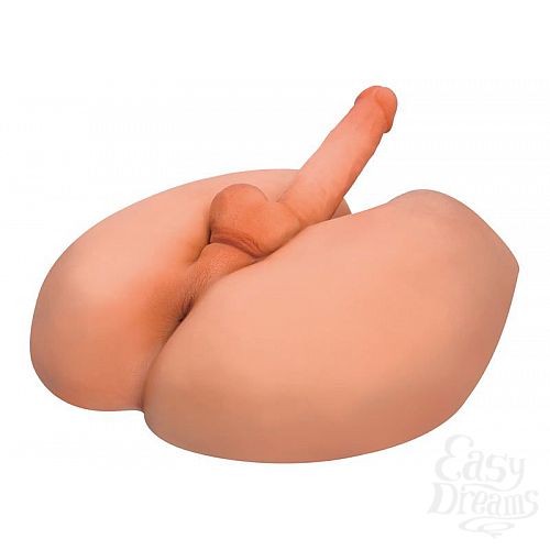  2  -  