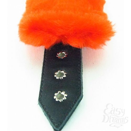 ���������� 6  ����� �� ���� � ����� - BDSM Light, �����