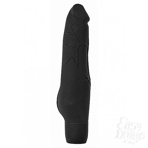  1:   Silicone Penis, 20 ., 