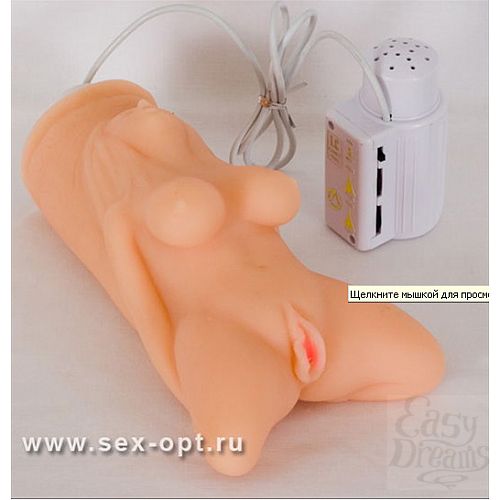���������� 1:  ��������� ������ (ToyFa 833101)
