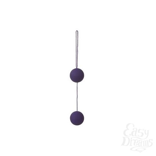 ���������� 1:  ���������� ����������� ������ Funky Love balls (ToyJoy 9853)