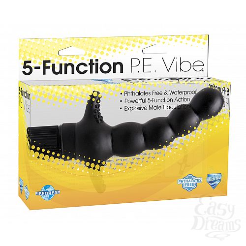 ���������� 1:  �������� 5-Function P.E. Vibe ������