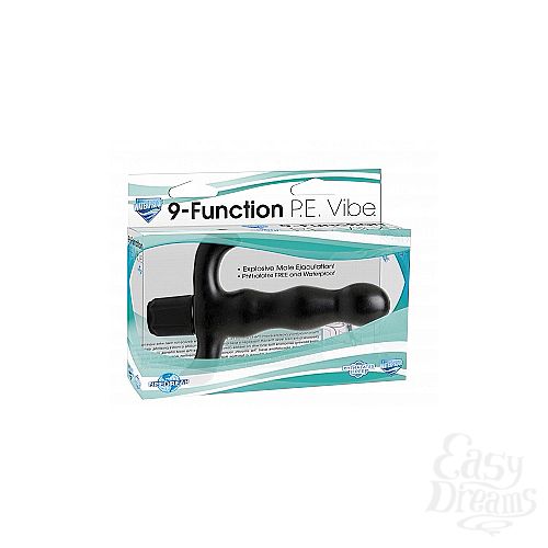 ���������� 2  �������� 9 Function P.E. Vibe ������