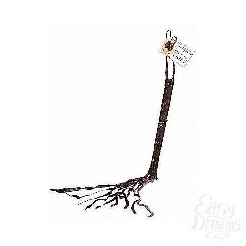 ���������� 1:  ������ CAT O  NINE TAILS ������