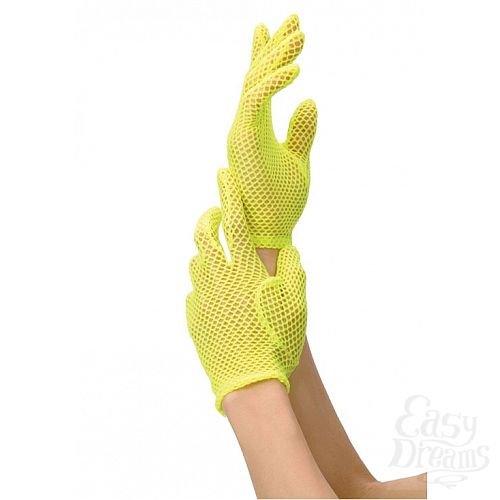 ���������� 1:  ��������-�����, �����