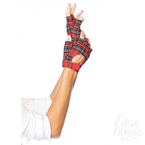 ���������� 1:  ��������