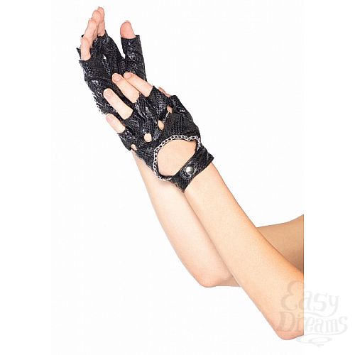 ���������� 1:  ���������� �������� �� ������� ����