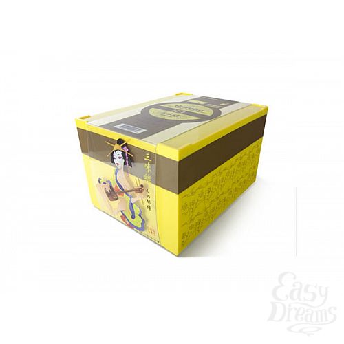  3   -      Geisha Shamisen