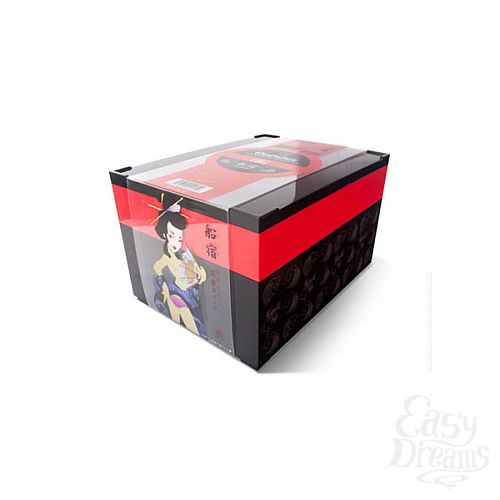  2   -      Geisha Funayado
