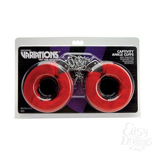 ���������� 3  ������� ������� ��������� VARIATIONS 1092246 CD TS