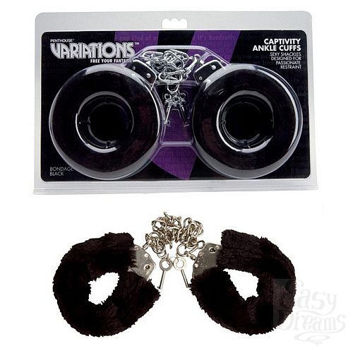 ���������� 1:  ������� ������ ��������� VARIATIONS 1092256 CD TS