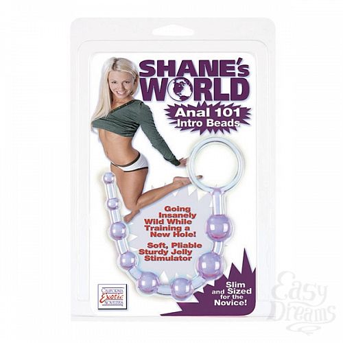  2    Shane s World Anal Beads