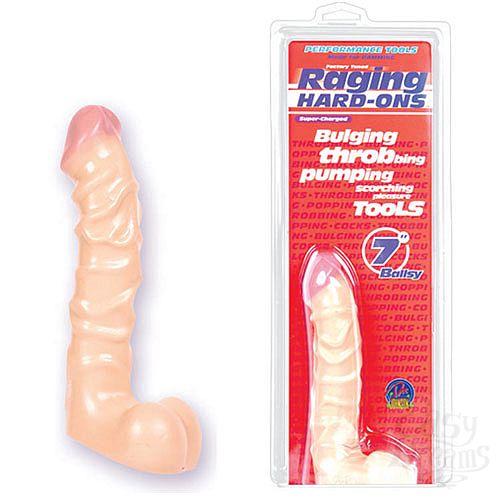���������� 1:  ������ 7in RAGING HARD-ONS 0279-02 CD DJ