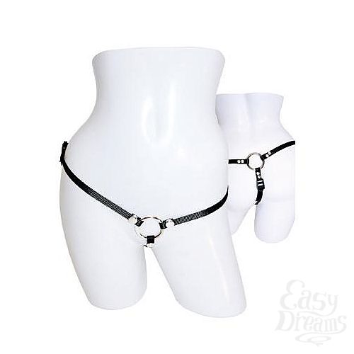  1:     S&M Bare As You Dare Strap-On