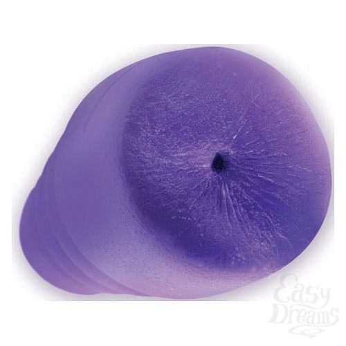���������� 2  ���������� ����-����������� PALM PAL 0683-03 BX DJ