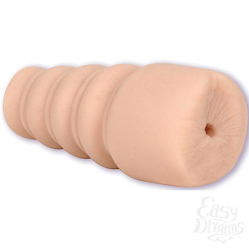 ���������� 2  ����-����������� PALM PAL 0683-06 BX DJ