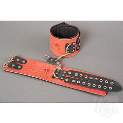 Красные кожаные оковы с чёрными ремнями Красные кожаные оковы с чёрными ремнями