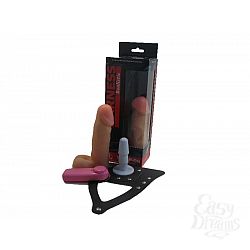  ������� ������ � ���������, 15,5 ��. 