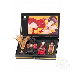 SHUNGA    Shunga Gift Set Tenderness/Passion, 