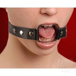 Кляп-кольцо черный 3092-1 Кляп-кольцо черный 3092-1