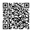    "    Glass worxx diamond dazzler - 17 ."  