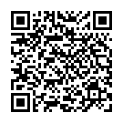    "   Ben Wa Balls Heavy Weight Silver"  