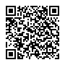 ����������� ����� �������� "������������ ������������� � ��������� FLESHXL - 33 ��." �� ��������