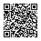    " Silver Ladyfinger Minivibrator"  