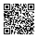    "  LUMINESCENCE 2081-03 BX SE"  