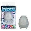   LUMINESCENCE 2081-03 BX SE
