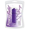   Breeze PowerBullet 