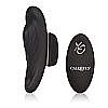    Remote Lock N Play Panty Tease  California Exotic Novelties, 11.5  