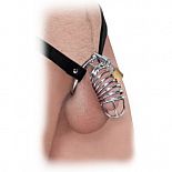   Extreme Chastity Belt    
         ,     -        Fetish Fantasy Extreme.