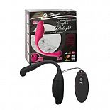 ׸     Couples Delight Remote Control Vibe 
         ,         .
