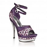     Violet Leopard 
 ,      -  -   -.