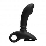   Sparta Prostate Stroker, 13  - Nexus,  
            70 ?    ,             .