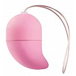   G-spot Egg Small 
  g-spot   10  ,      .