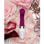   G- Gigi  (LELO) 
:   (  ) /  PC-ABS
:   - 16 ,    - 9 ,  - 2,5-3 
: 92 
:   - 2 ,   - 4 
   GIGI,   :   ,         .