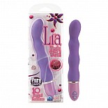   Lia Magic Wand Purple 4560-30BXSE 
     .